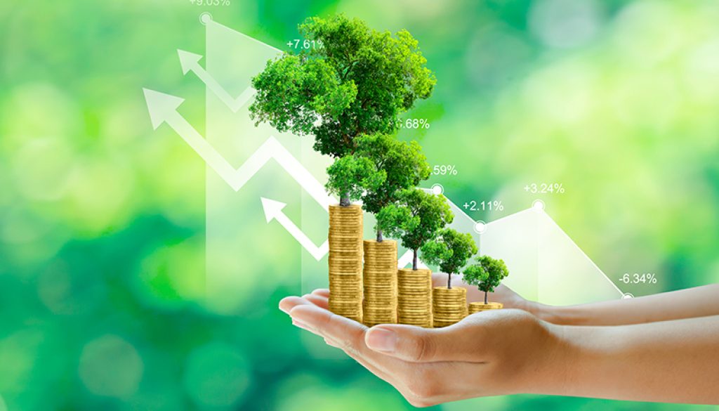 Money growing, Tree growing on stack of coins, sustainable devel